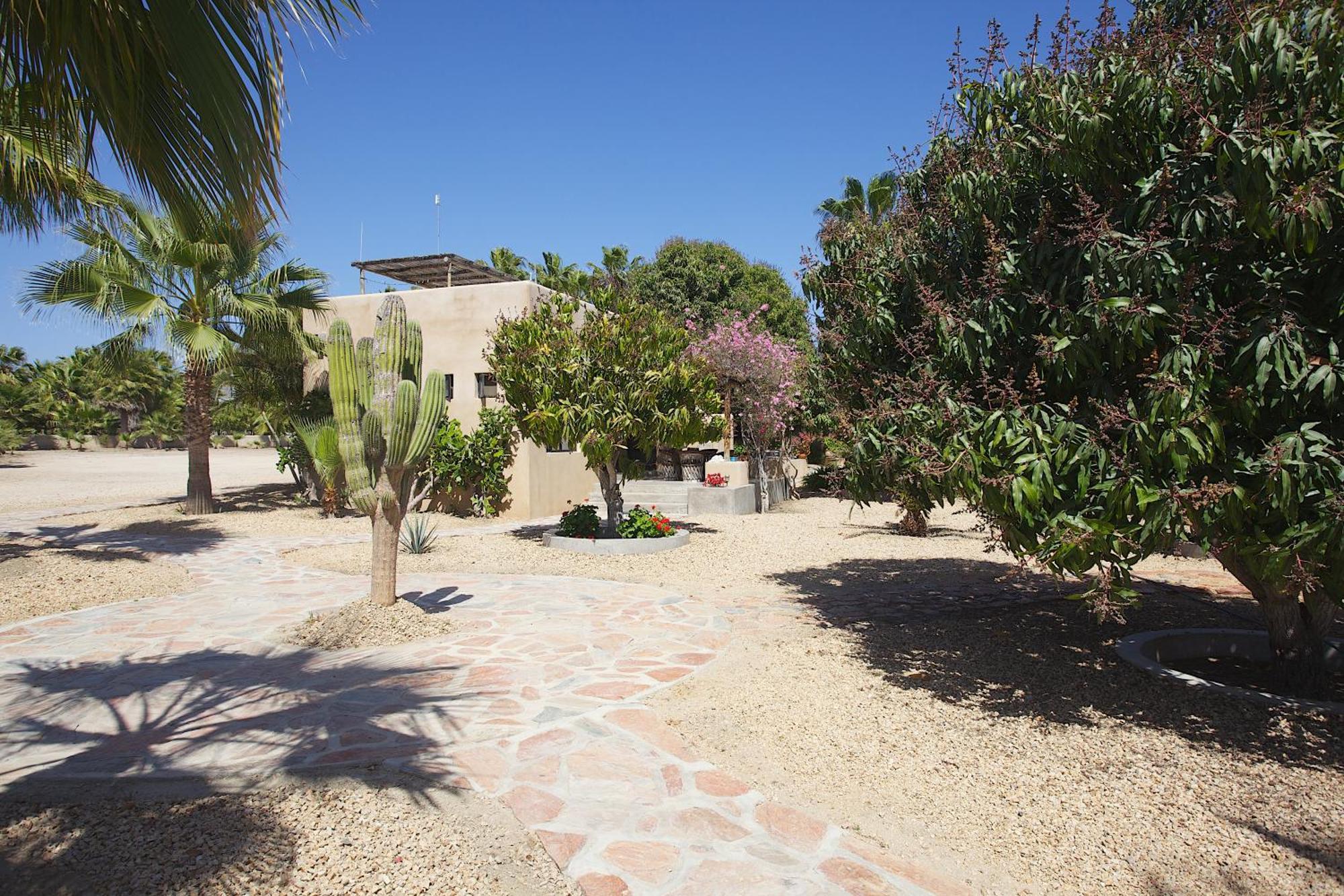 Sole Caliente Villa Todos Santos Exteriör bild