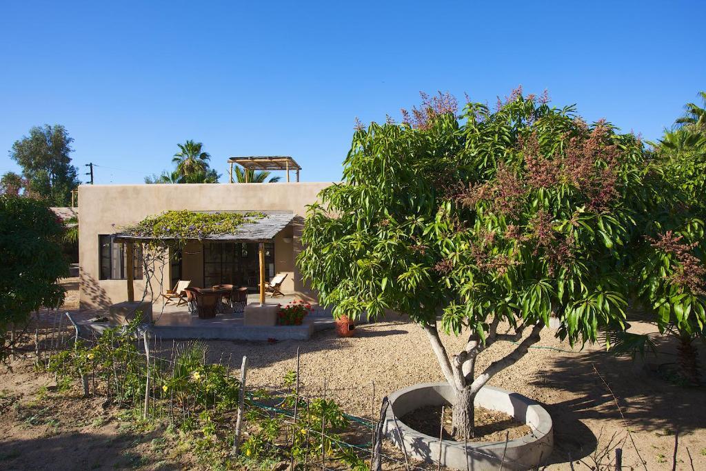 Sole Caliente Villa Todos Santos Exteriör bild