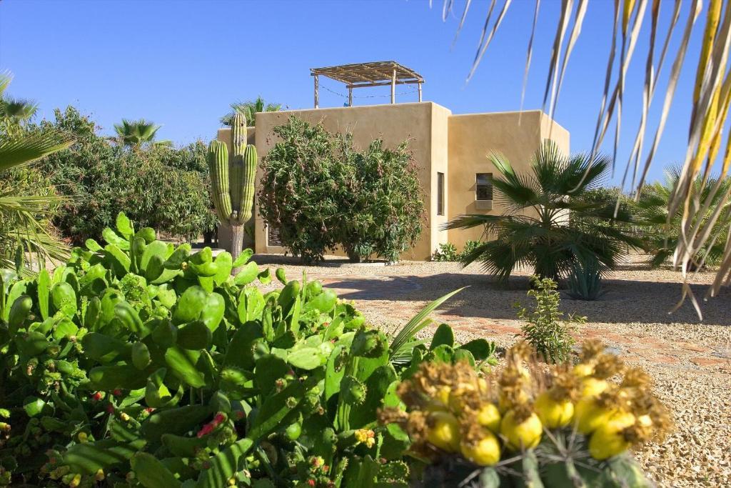 Sole Caliente Villa Todos Santos Exteriör bild