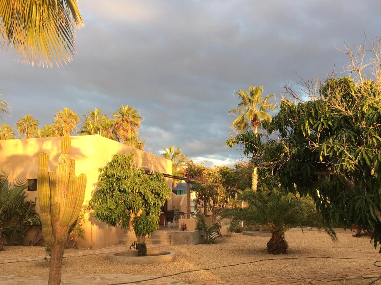 Sole Caliente Villa Todos Santos Exteriör bild